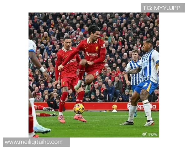 利物浦与布莱顿精彩对决瞬间回顾及赛后精彩图片分享