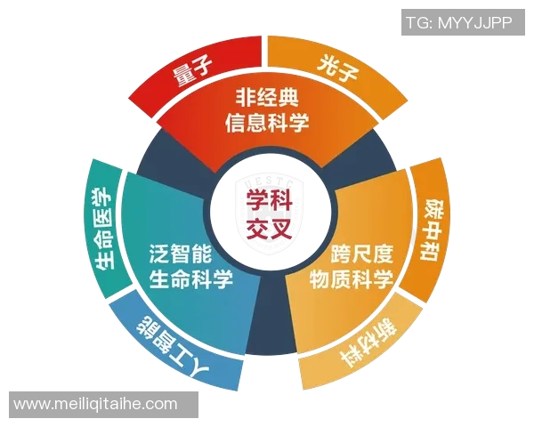 霍伊伦:探索其在当代文化与科技交汇中的独特影响力与价值