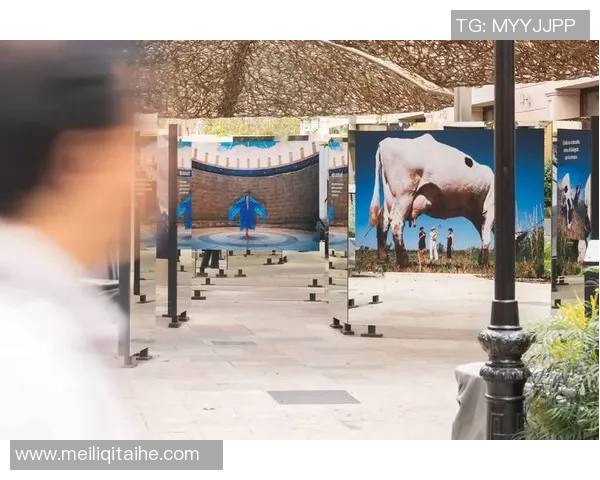 比斯特与斯拉维亚激战正酣谁能在这场较量中脱颖而出