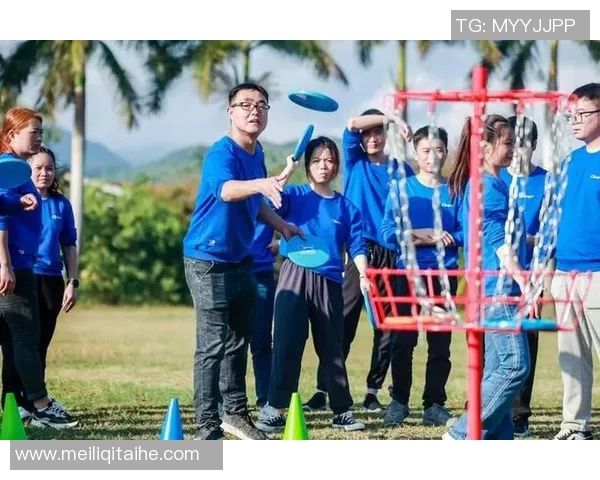 飞盘竞技的魅力揭秘:深入分析北京飞盘队的战术与策略MBA