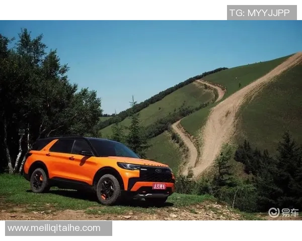 北京攀岩队的反击之路：挑战与成长的双重考验MBA