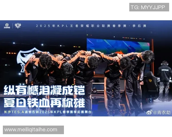 挑战者杯特别报道:TES战队的崛起与成长之路揭秘