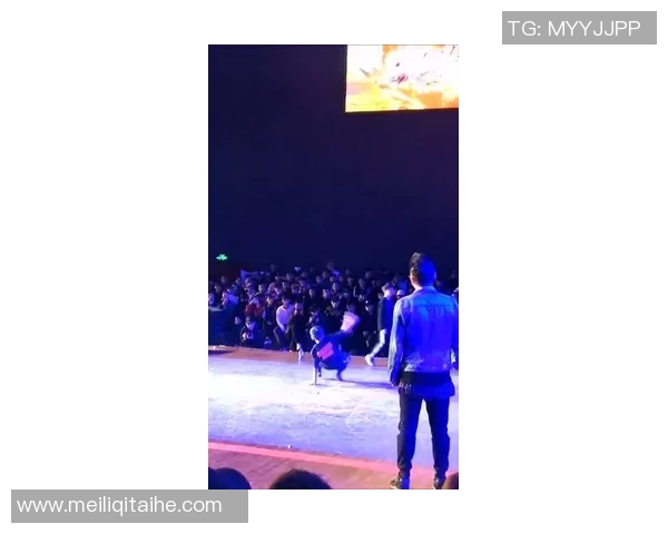 杭州街舞队的文化意识与发展探索：街舞在城市生活中的独特表达MBA