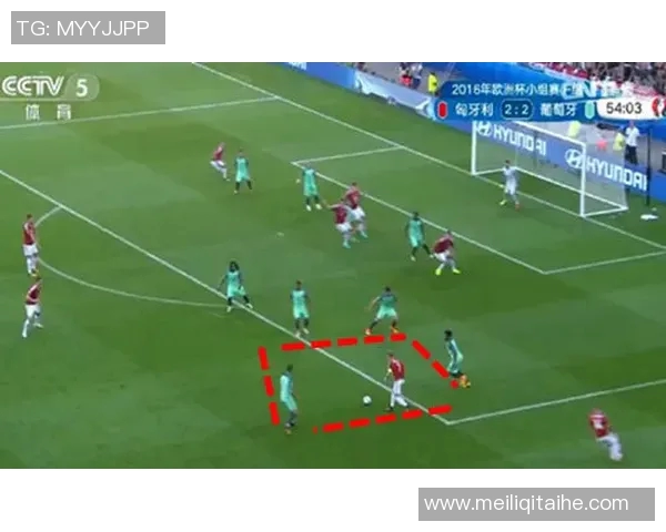 深圳排球队区域防守体系解析与战术应用研究 深圳排球队区域防守体系解析与战术应用研究