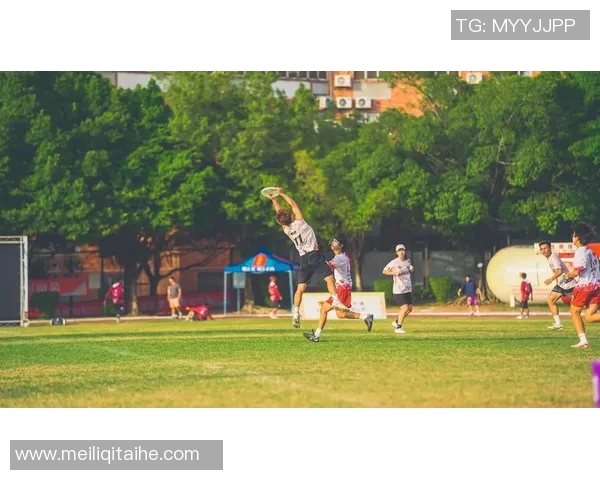 飞盘技术排行榜揭晓广州飞盘队荣登第十名展现实力与潜力MBA